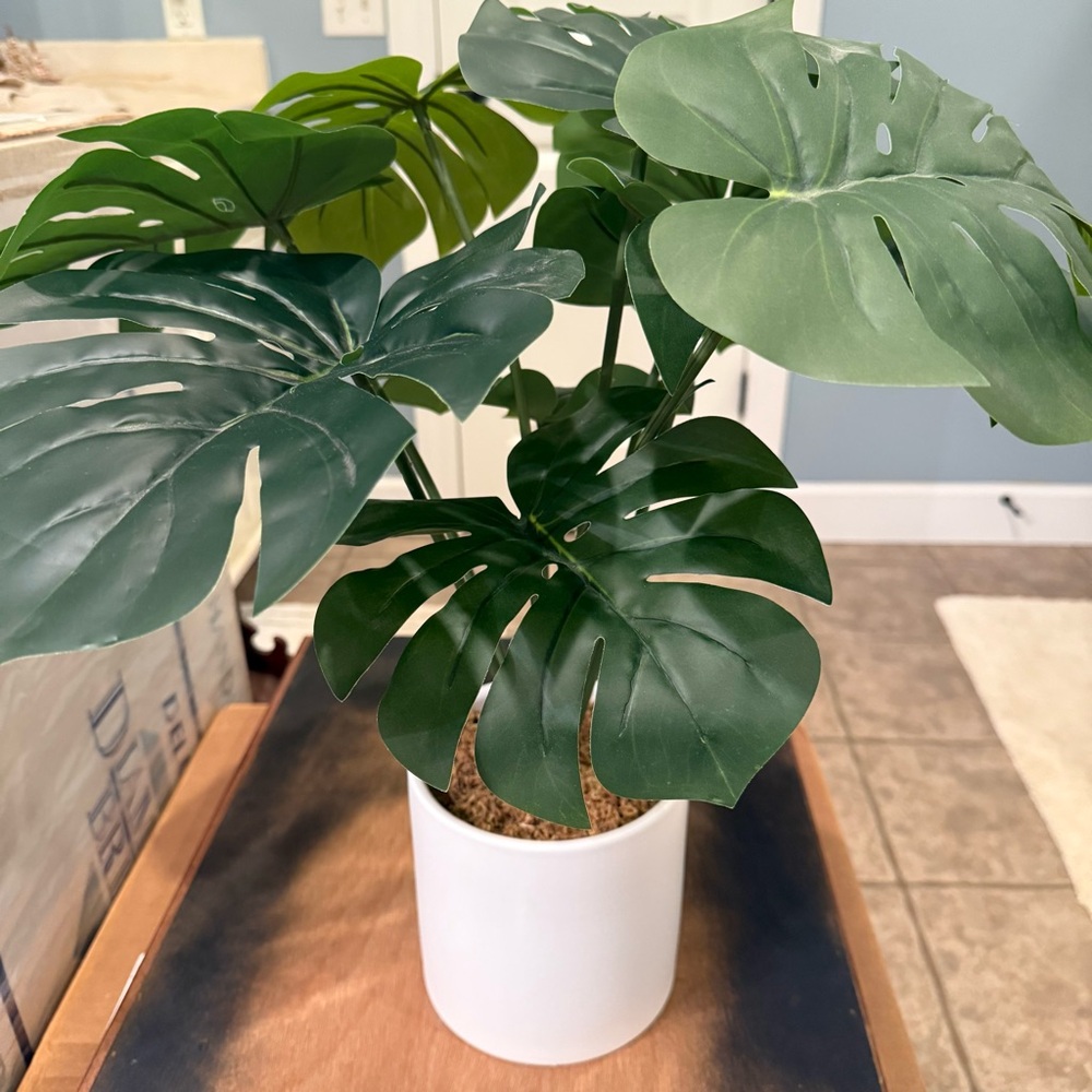 🪴 Faux Monstera Plant - Picture 12 of 12